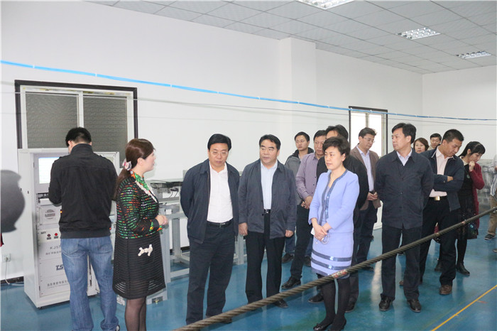 洛阳市市长及各导来洛阳辉达娱乐调研考察