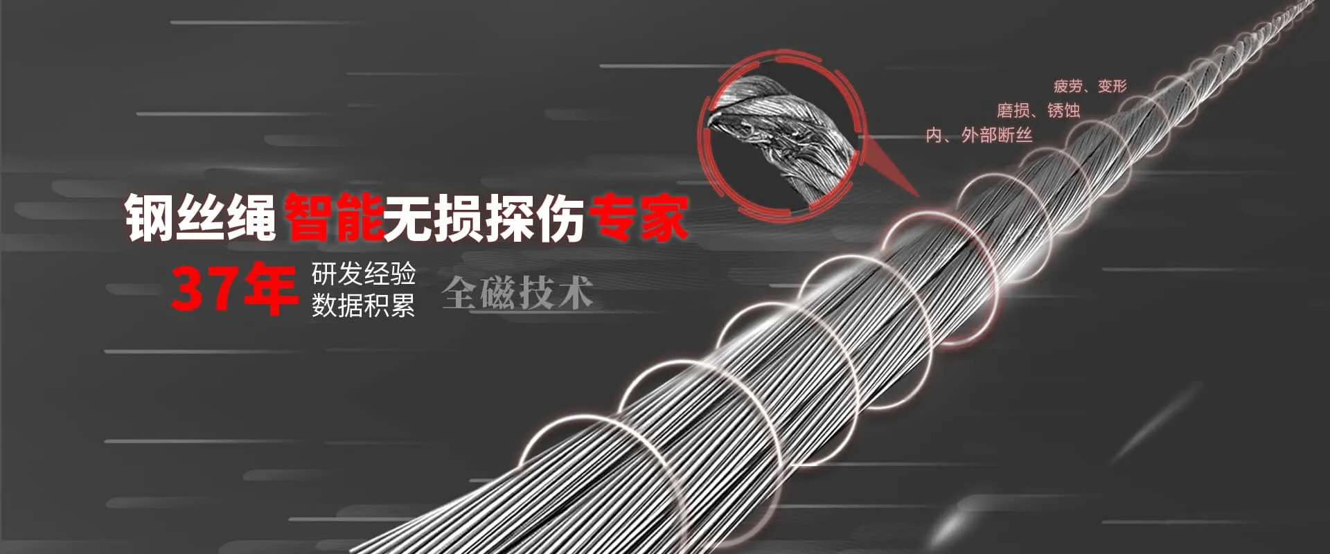 辉达娱乐